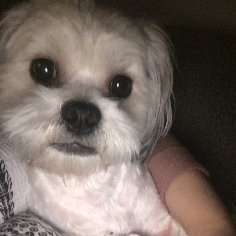 Meet your Posher, Kylie